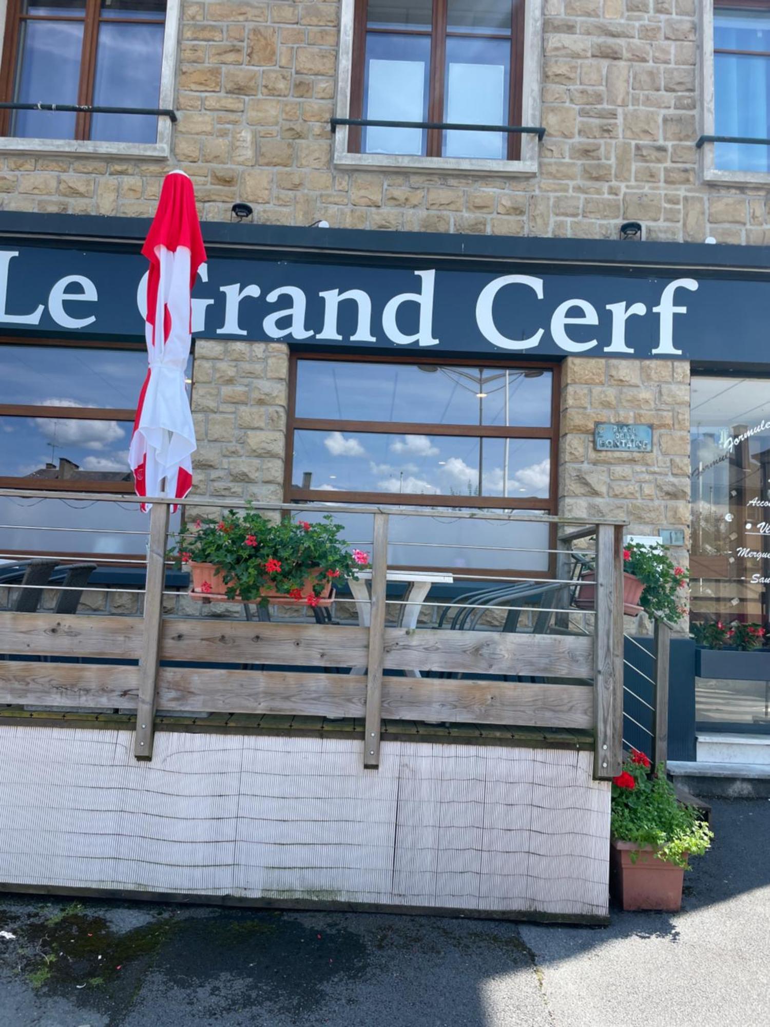 Hotel Le Grand Cerf Carignan Esterno foto
